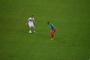 mk体育平台登录入口-中国足球对抗频次与伤病风险相关性，足球 对抗